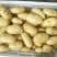 潍坊市土豆荷兰十五号土豆大量上市产地直销欢迎进店咨询