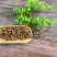 九节菖蒲节菖蒲优质选装无硫正品批发零售