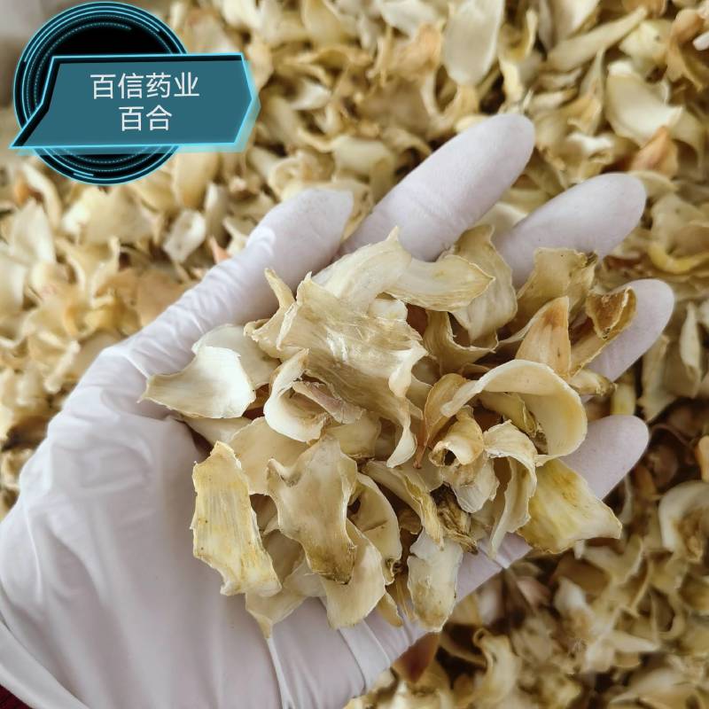藁本精选货货源充足常年有大货百信药业物美价廉