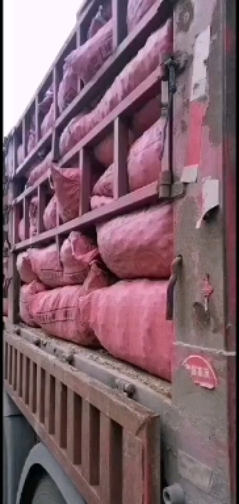 迁西313