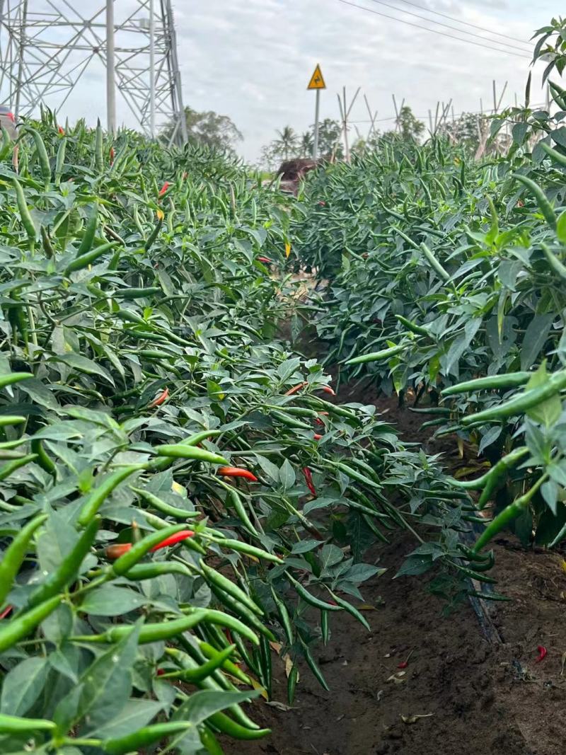牛霸天