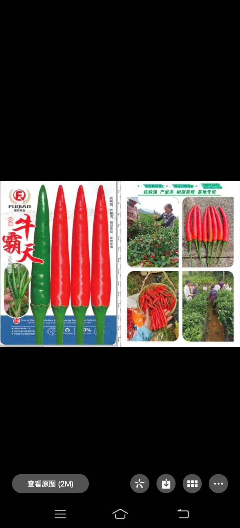 牛霸天