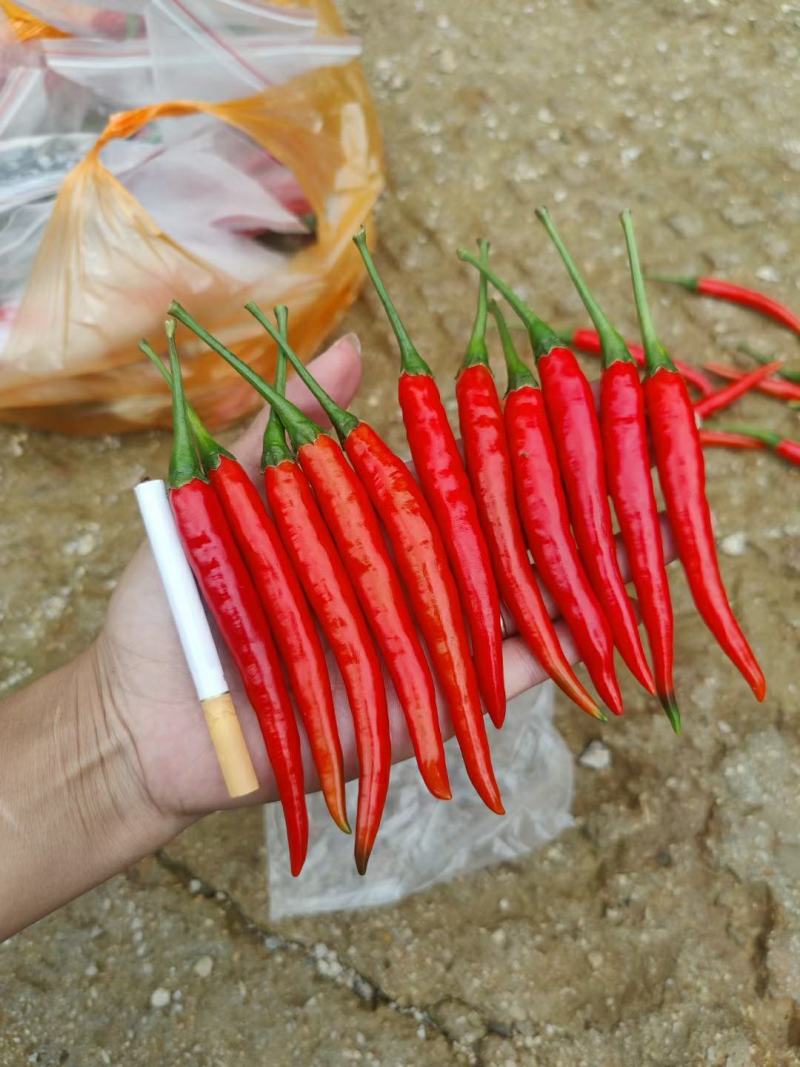牛霸天