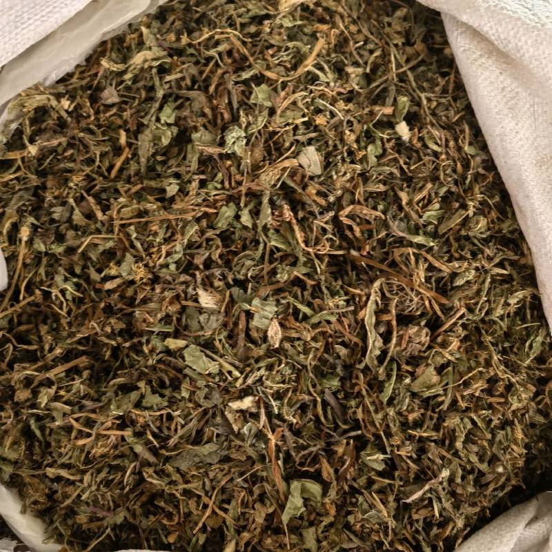 蒲公英大量到货货源充足量大从优一手货源百信药业