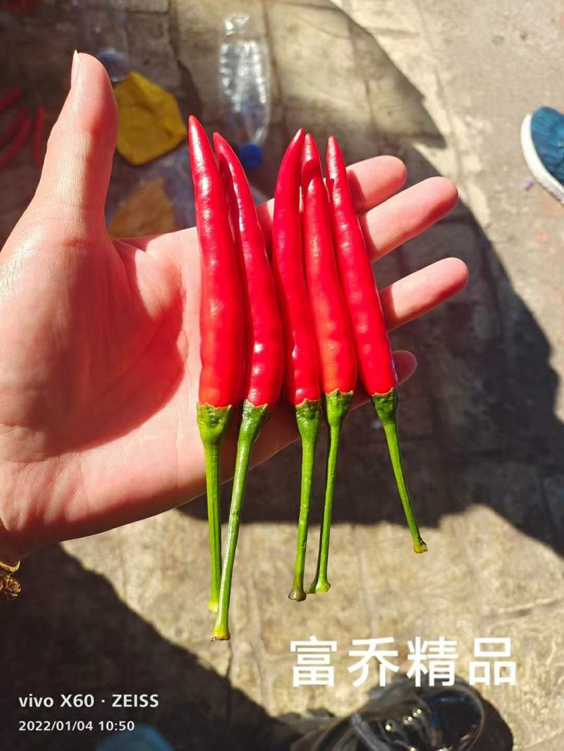 牛霸地