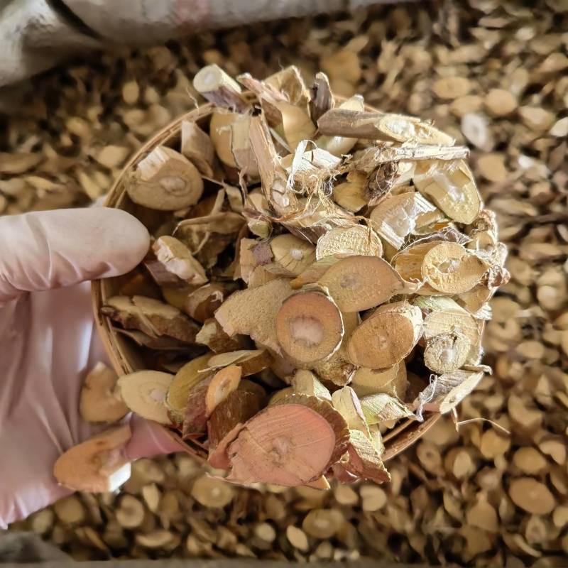 桑枝子实图拍摄规格齐全量大从优欢迎选购一手货源