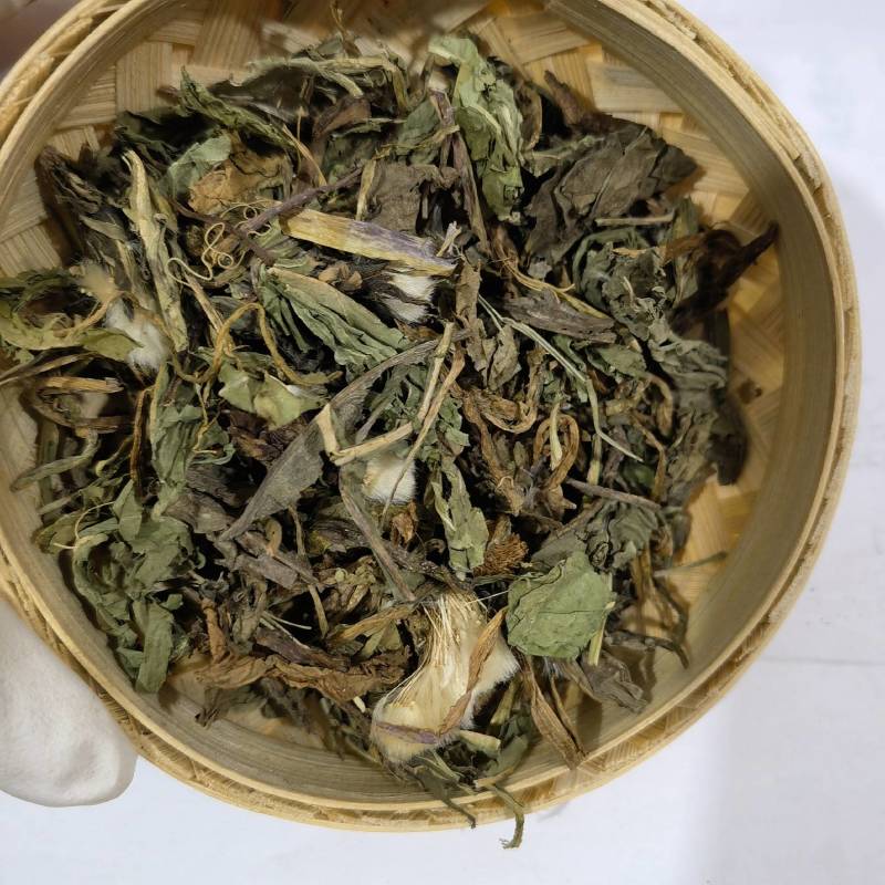 桑枝子实图拍摄规格齐全量大从优欢迎选购一手货源