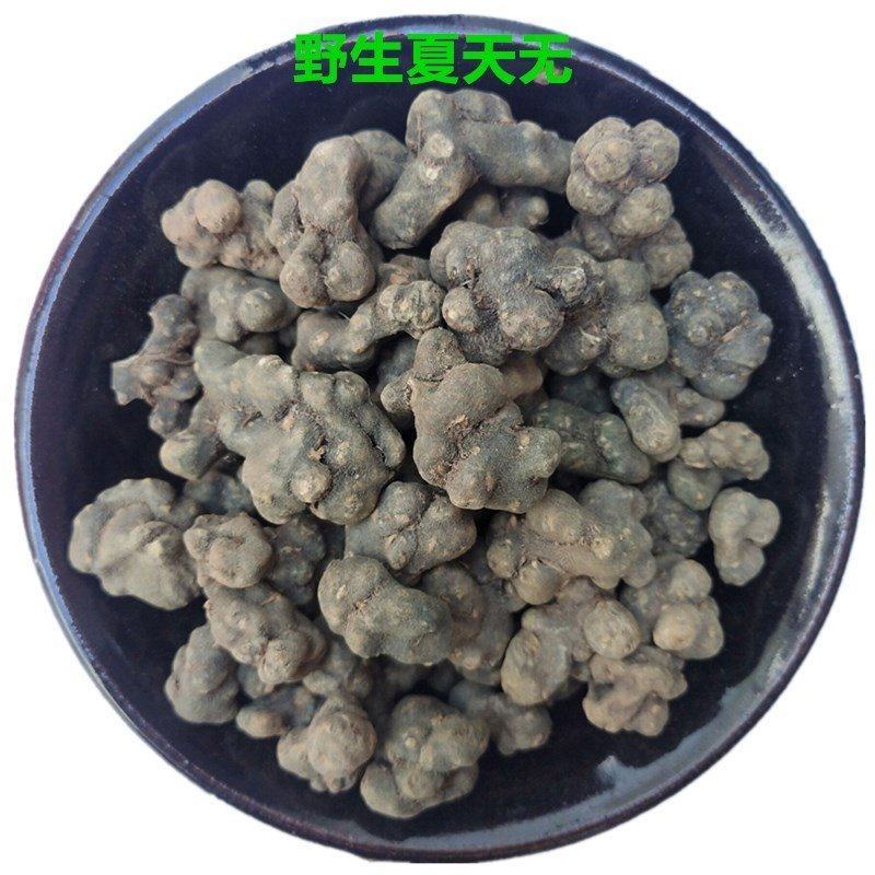 夏天无地道中药材夏天无粉一粒金丹野元胡夏天中药材