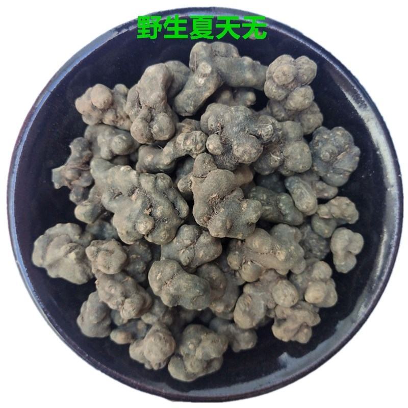 夏天无地道中药材夏天无粉一粒金丹野元胡夏天中药材