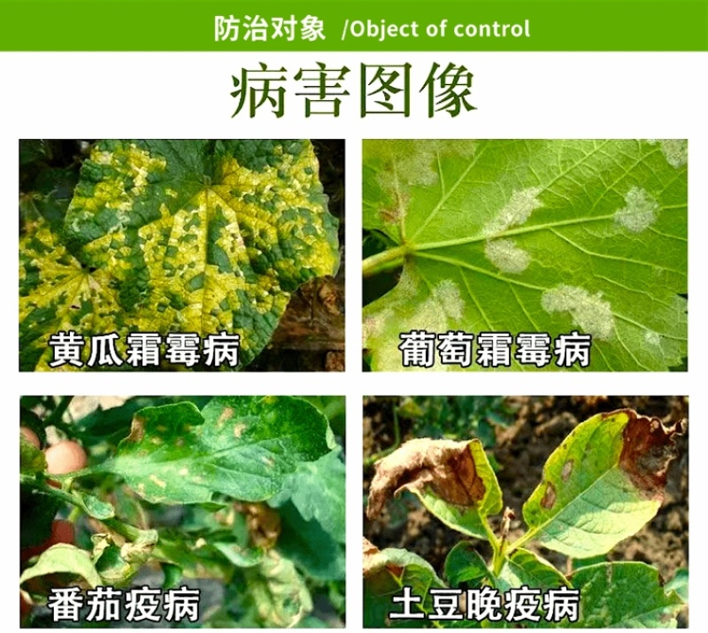 50%烯酰霜脲氰霜霉病早疫病晚疫病绵疫病果树蔬菜杀菌剂