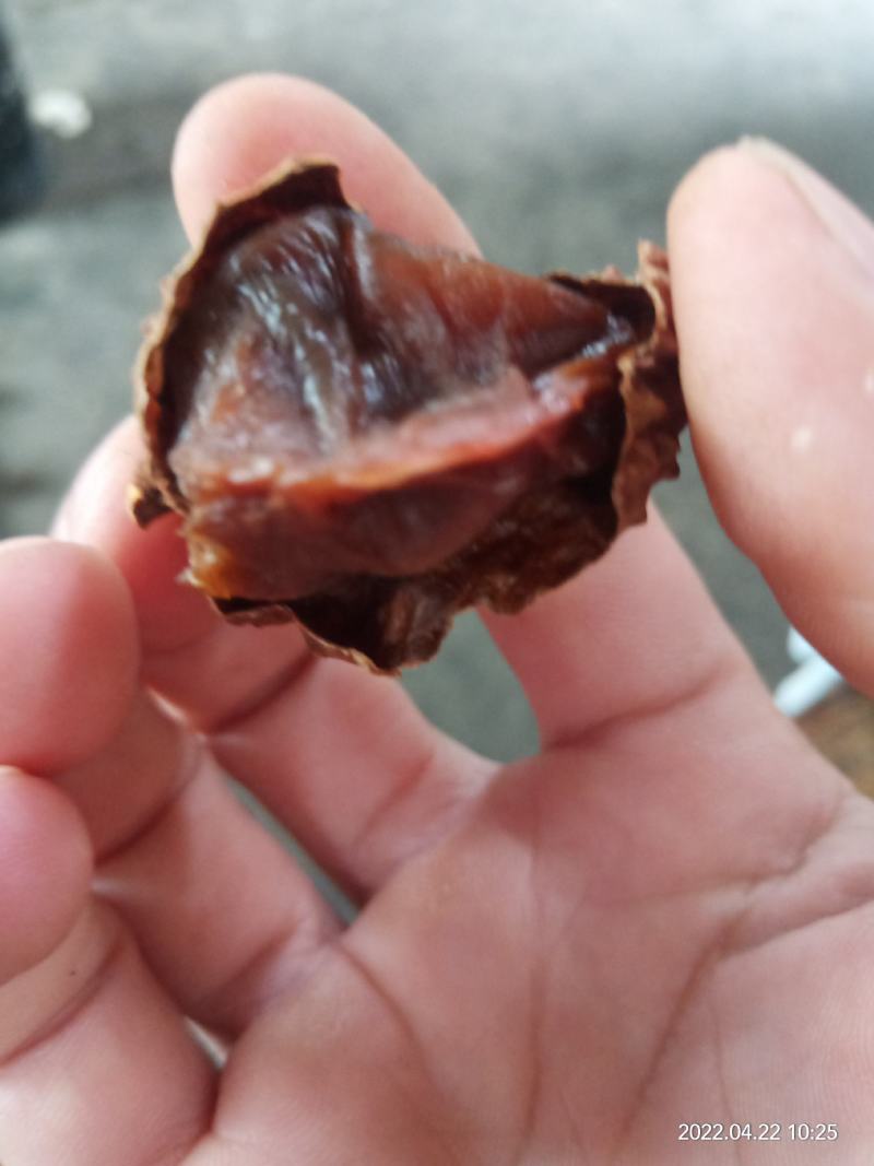 桂问荔枝干