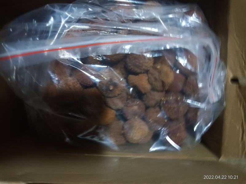 桂问荔枝干