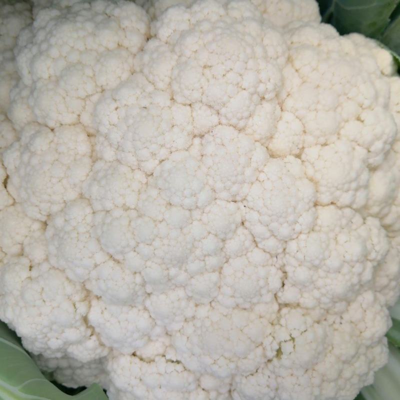大棚花菜大量上市啦，