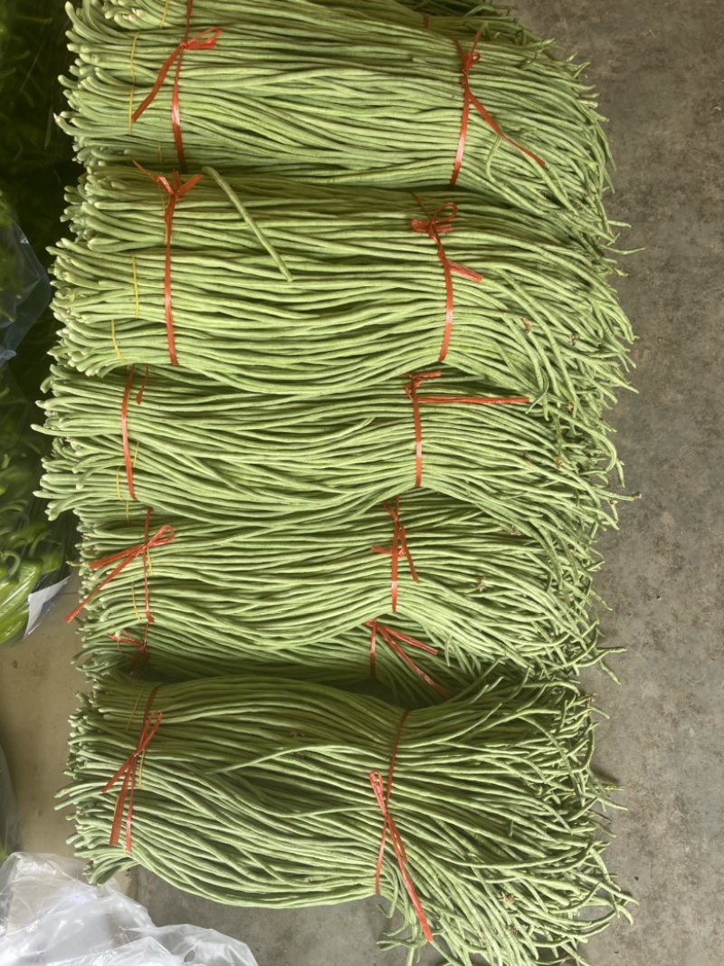 长豆角长豇豆大量供应产地货源充足代发全国