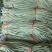 长豆角长豇豆大量供应产地货源充足代发全国