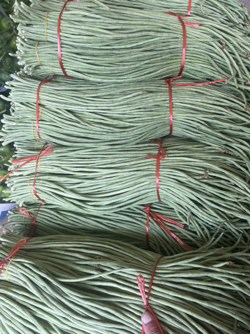 长豆角长豇豆大量供应产地货源充足代发全国