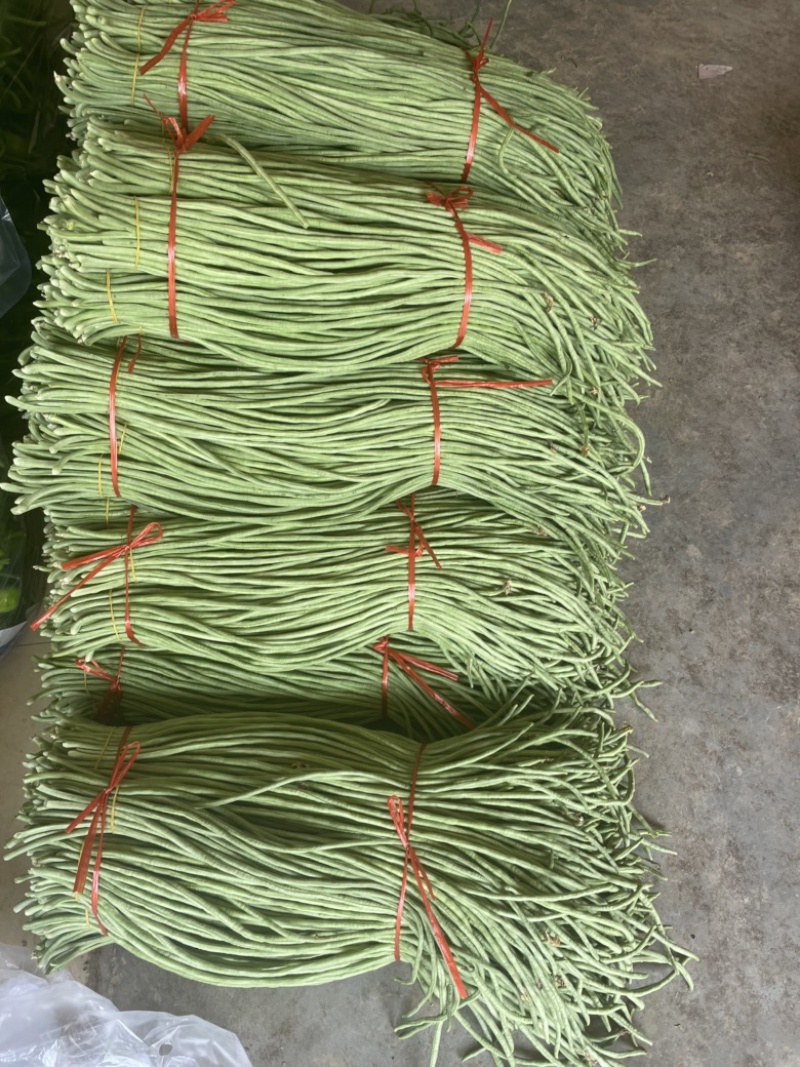 长豆角长豇豆大量供应产地货源充足代发全国