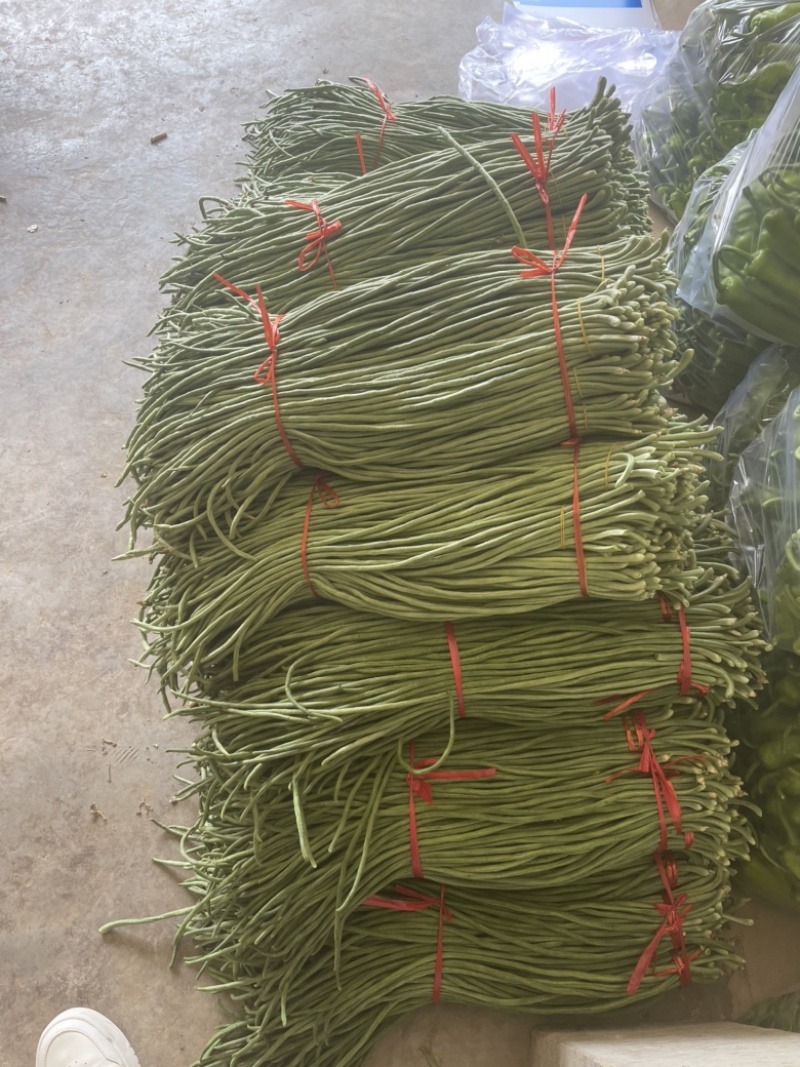 长豆角长豇豆大量供应产地货源充足代发全国