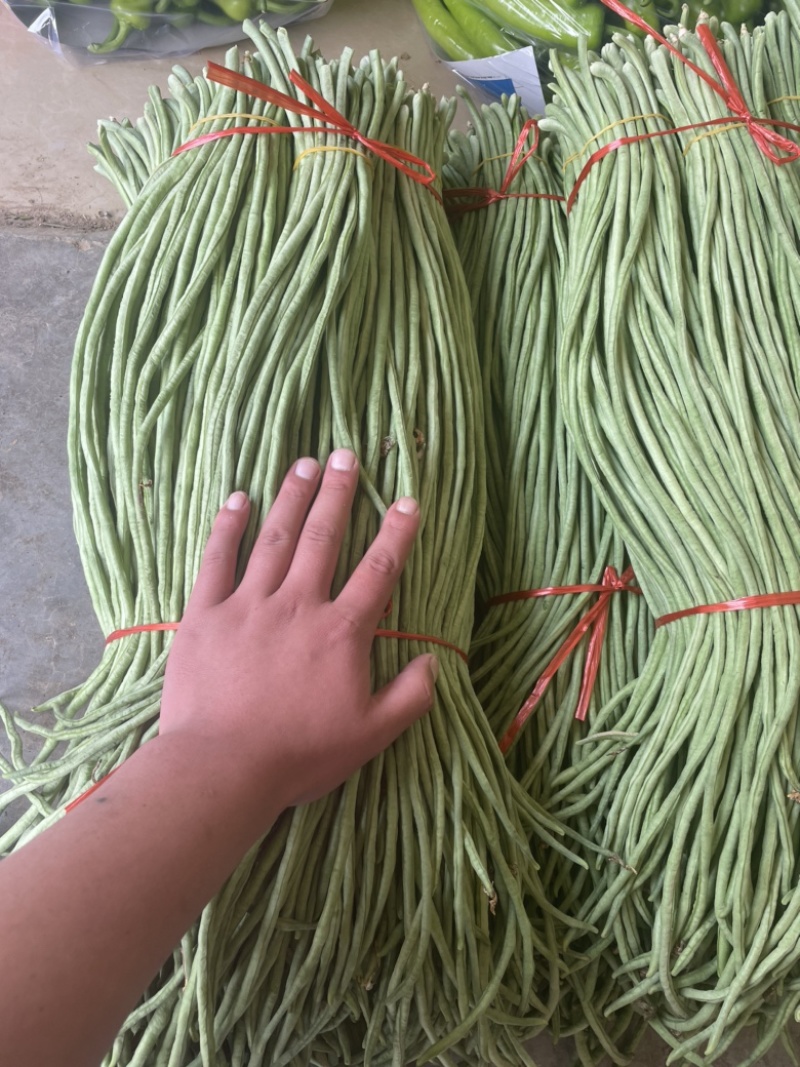 长豆角长豇豆大量供应产地货源充足代发全国