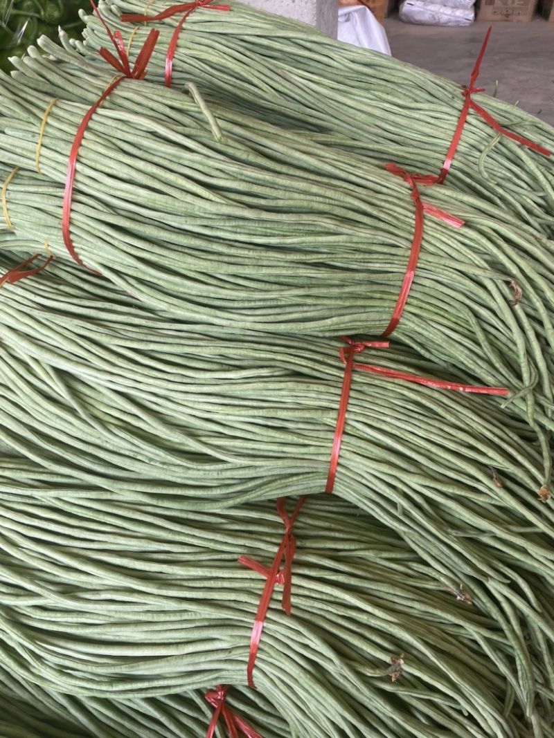 长豆角长豇豆大量供应产地货源充足代发全国