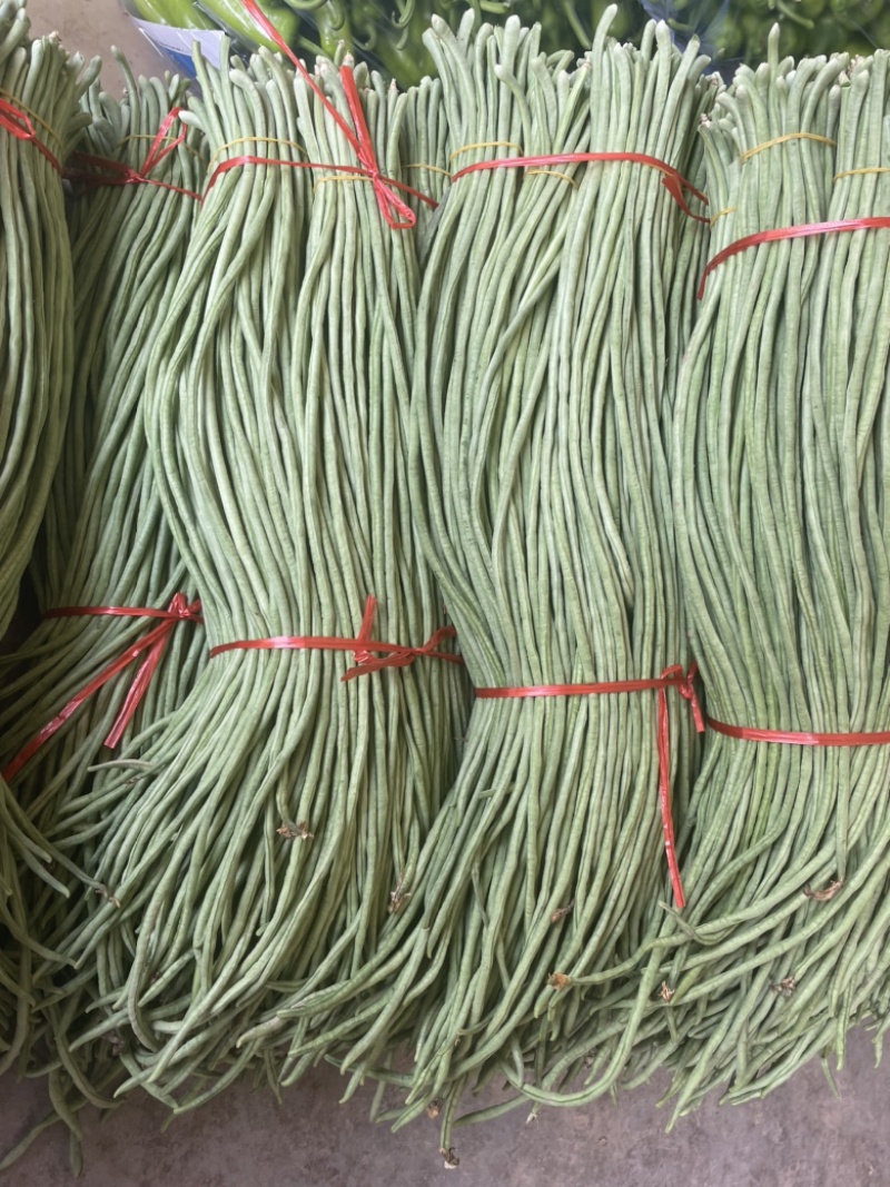 长豆角长豇豆大量供应产地货源充足代发全国