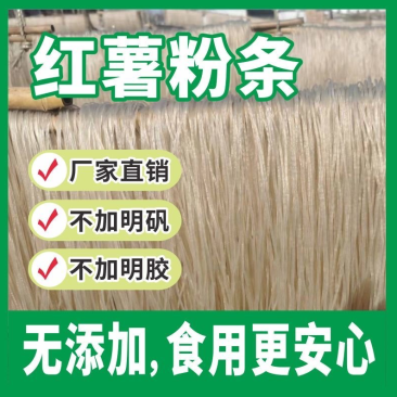 正宗红薯粉条基地直供一手货源品质保证价格实惠