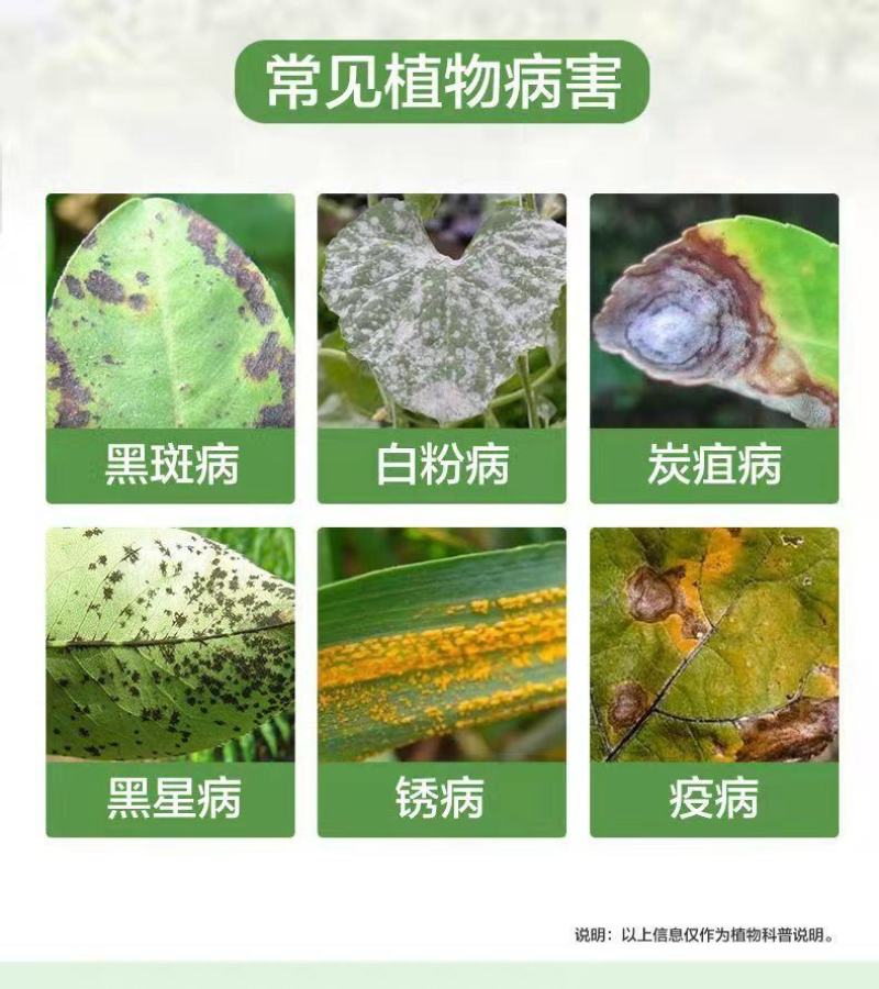 苯醚甲环唑脂胶囊杀菌剂月季兰花卉多肉绿植叶斑白粉病黑斑