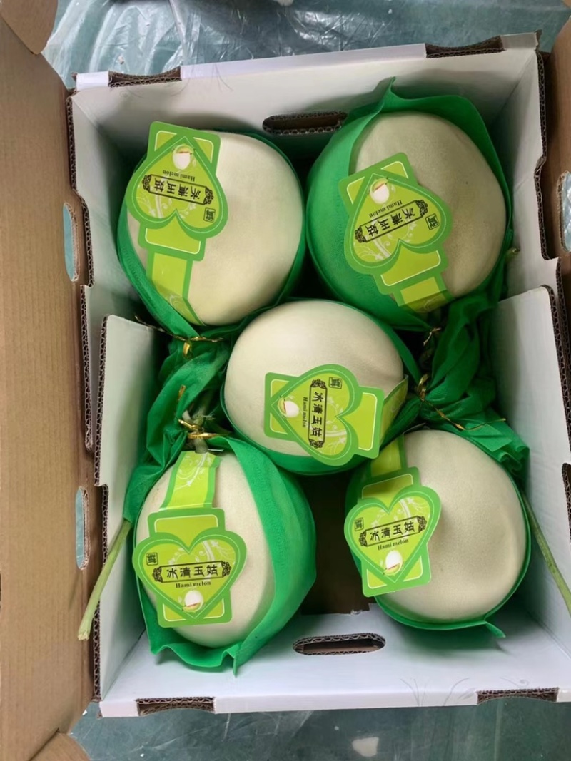 山东聊城莘县玉菇甜瓜，大量现货高糖度高品质，专业代收