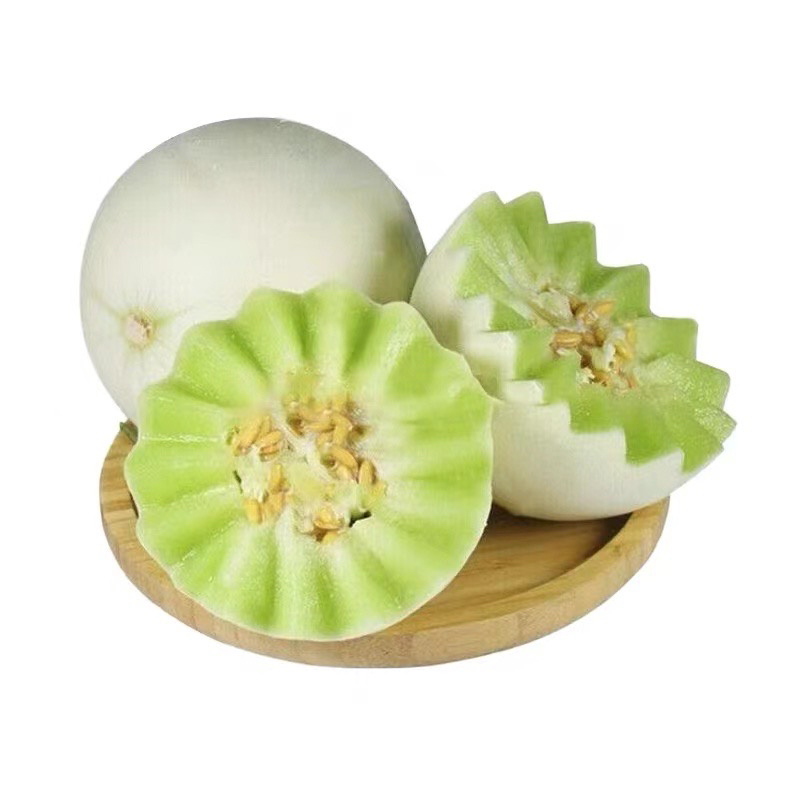 山东聊城莘县玉菇甜瓜，大量现货高糖度高品质，专业代收