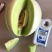 山东聊城莘县玉菇甜瓜，大量现货高糖度高品质，专业代收