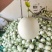 山东聊城莘县玉菇甜瓜，大量现货高糖度高品质，专业代收