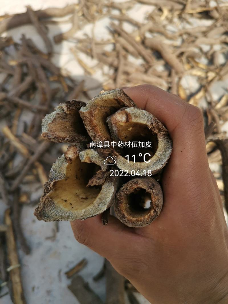 南伍家皮