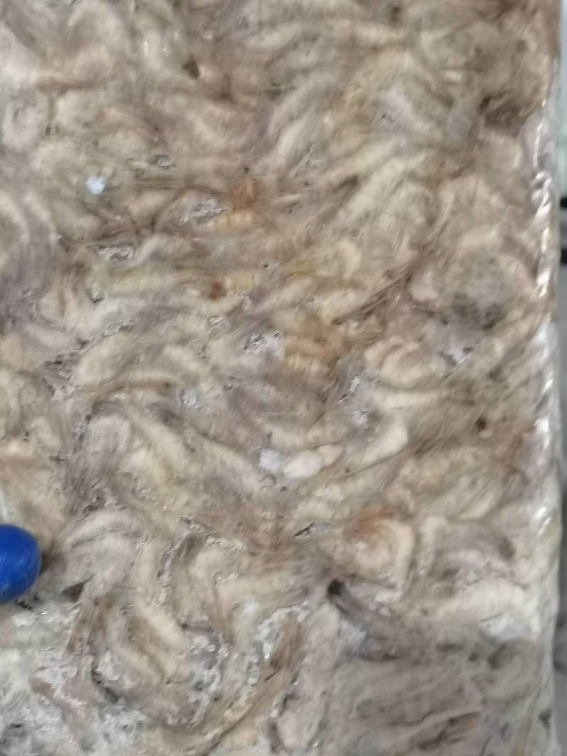 各种规格速冻河虾质量保证