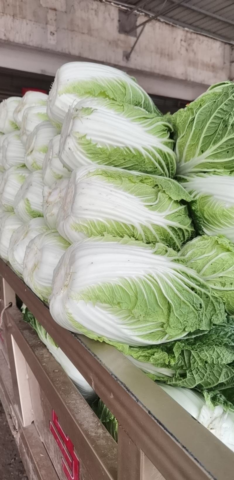 中棚黄心大白菜无虫无病害，有需要的客户及时联系。