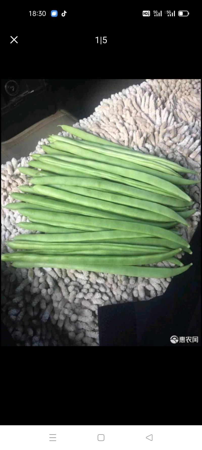 ，白不老芸豆，产地直供，货源充足，优等蔬菜，对接全国