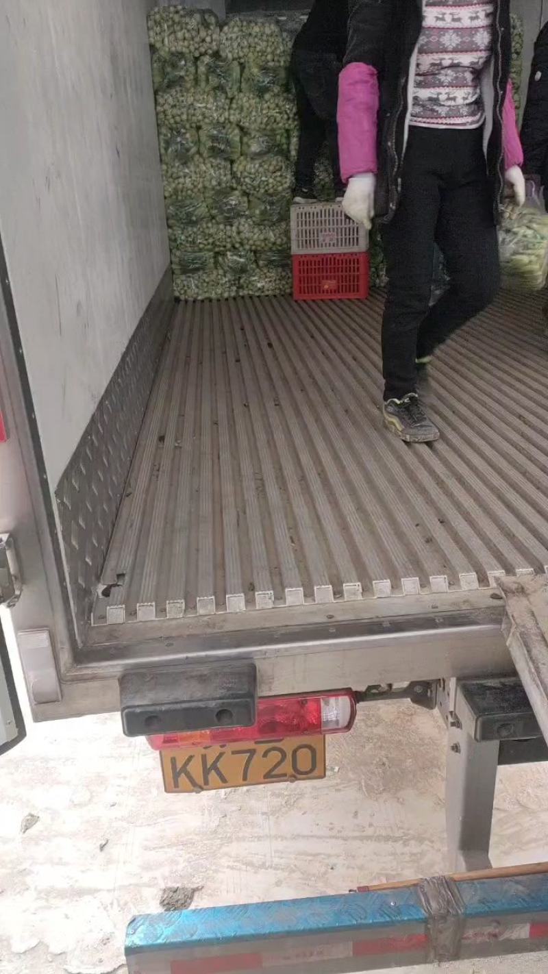 太和县蔬菜基地小油菜上海青代收代办常年供应实力档口可以合
