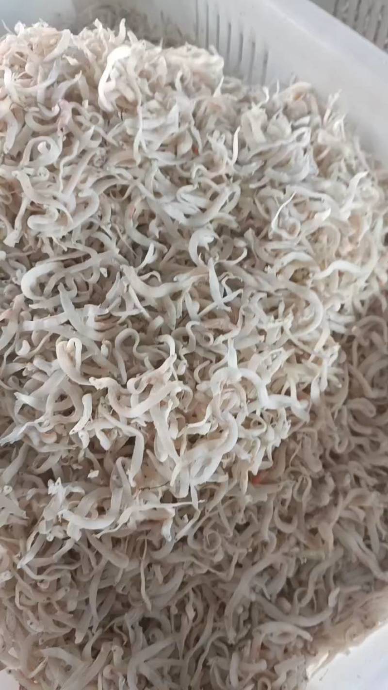 面鱼，一手货源，油炸，直接吃都可以