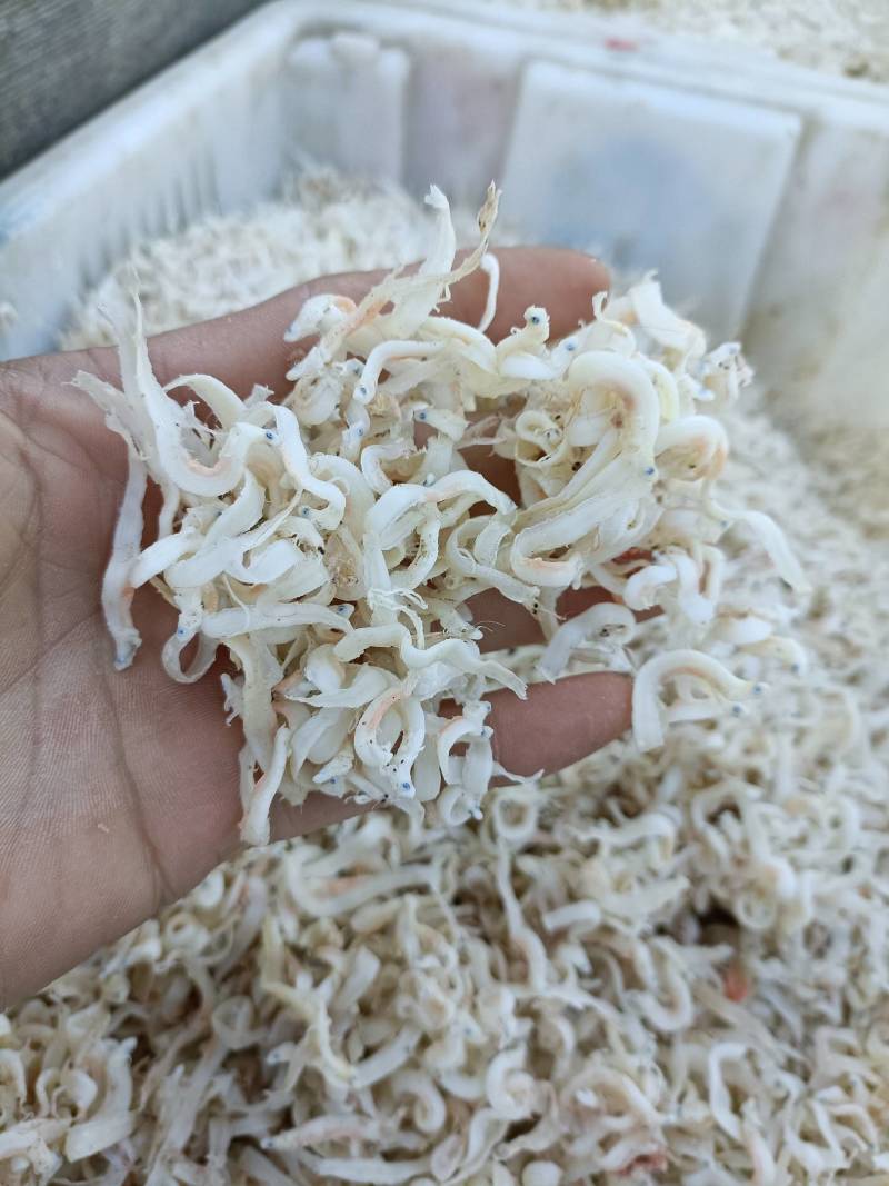 面鱼，一手货源，油炸，直接吃都可以