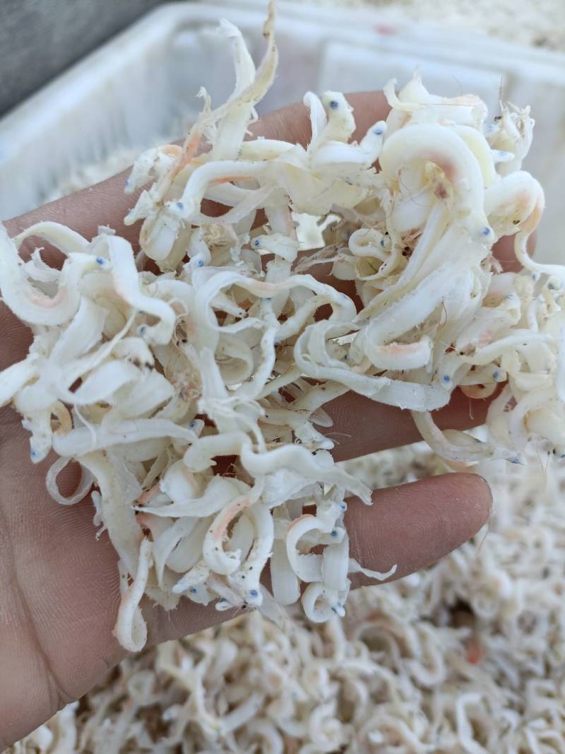 面鱼，一手货源，油炸，直接吃都可以