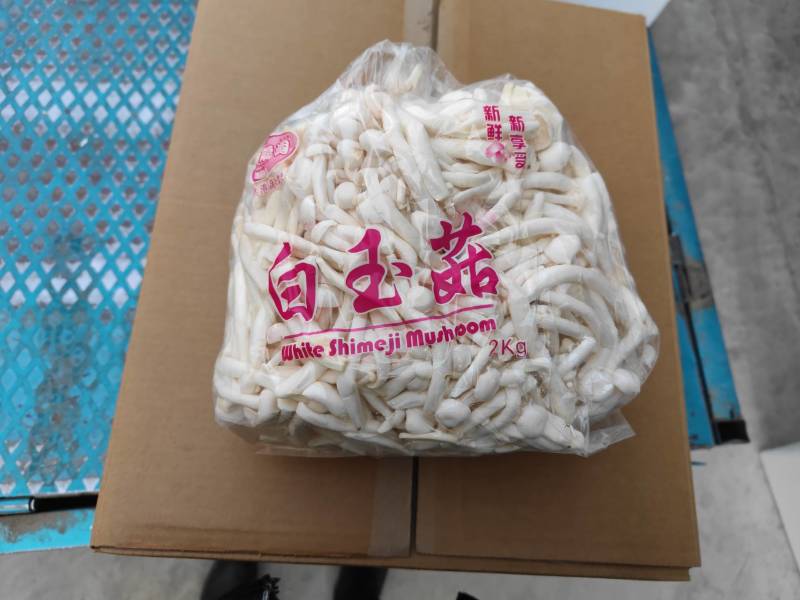 散白玉菇