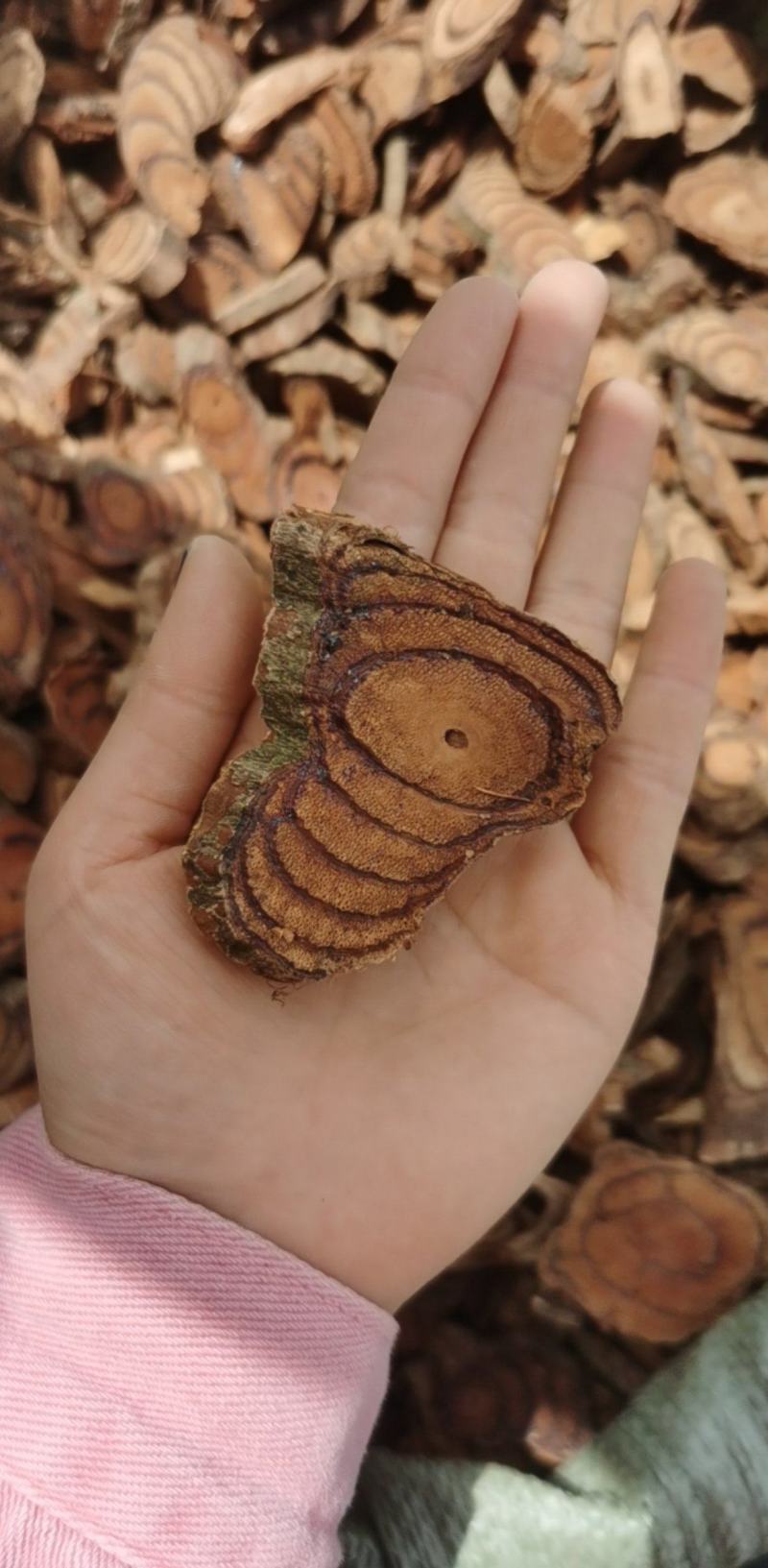鸡血藤统装500g振兴药材购销站量大从优