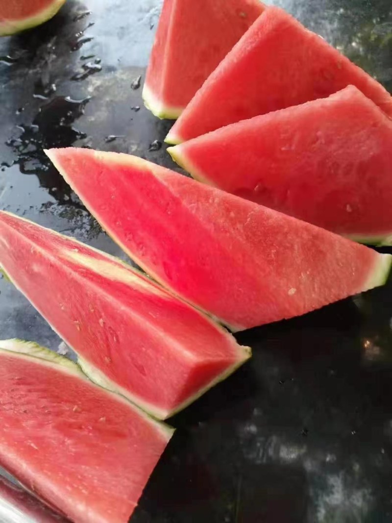 美都西瓜，麒麟西瓜8424西瓜欢迎前来选购