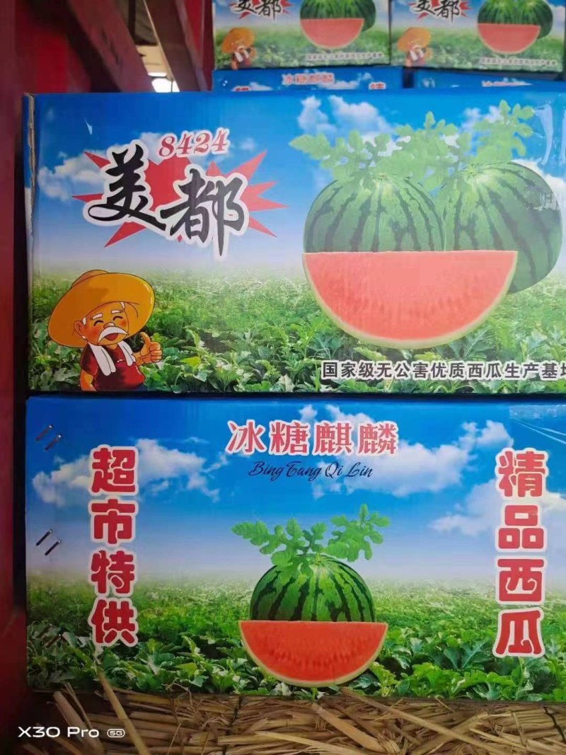 美都西瓜，麒麟西瓜8424西瓜欢迎前来选购