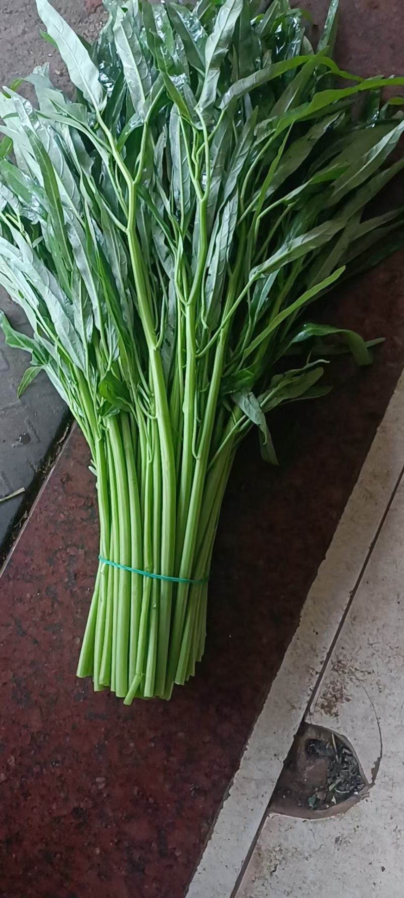 徐闻县空心菜，大杆，小杆都有，大量上市，产地一手货源
