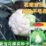 夏宝泰国耐热改良白紧菜花心叶合包免盖椰菜种子白紧花