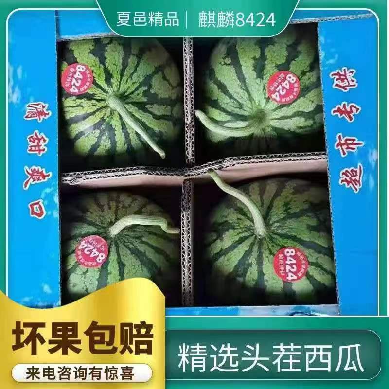 精品无籽美都大量上市供应，欢迎前来选购，质量保证售后无忧