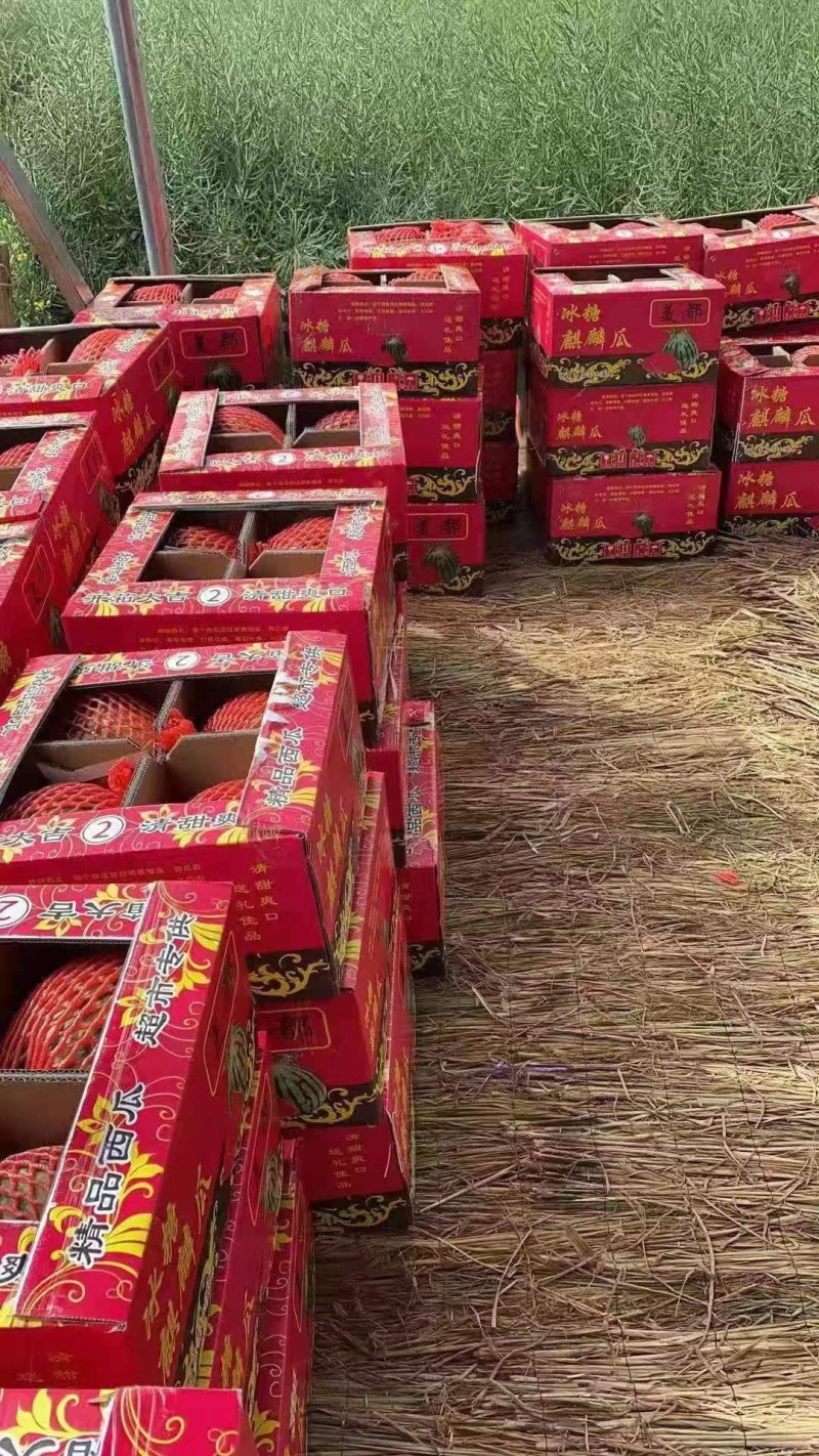 精品无籽美都大量上市供应，欢迎前来选购，质量保证售后无忧