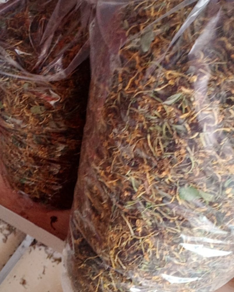 金银花