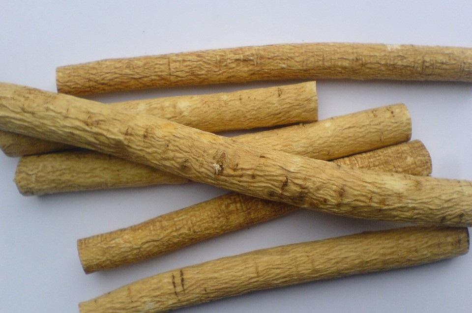 黄芪多糖在猪场免疫调控中的作用机制示意图