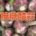 现挖奶油香蒜，是腌糖醋蒜的好选择